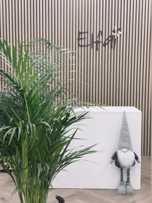 ELFAI