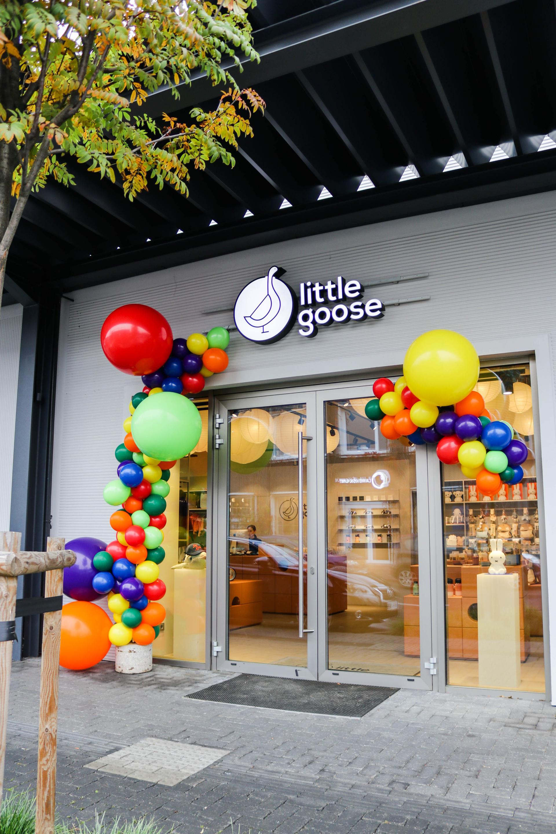 Little Goose