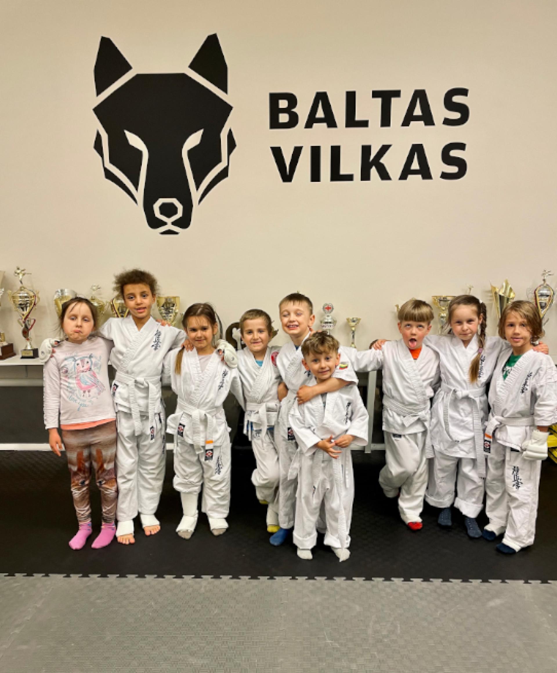 Baltas Vilkas