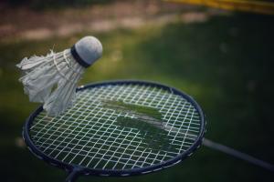 BADMINTONO CENTRAS