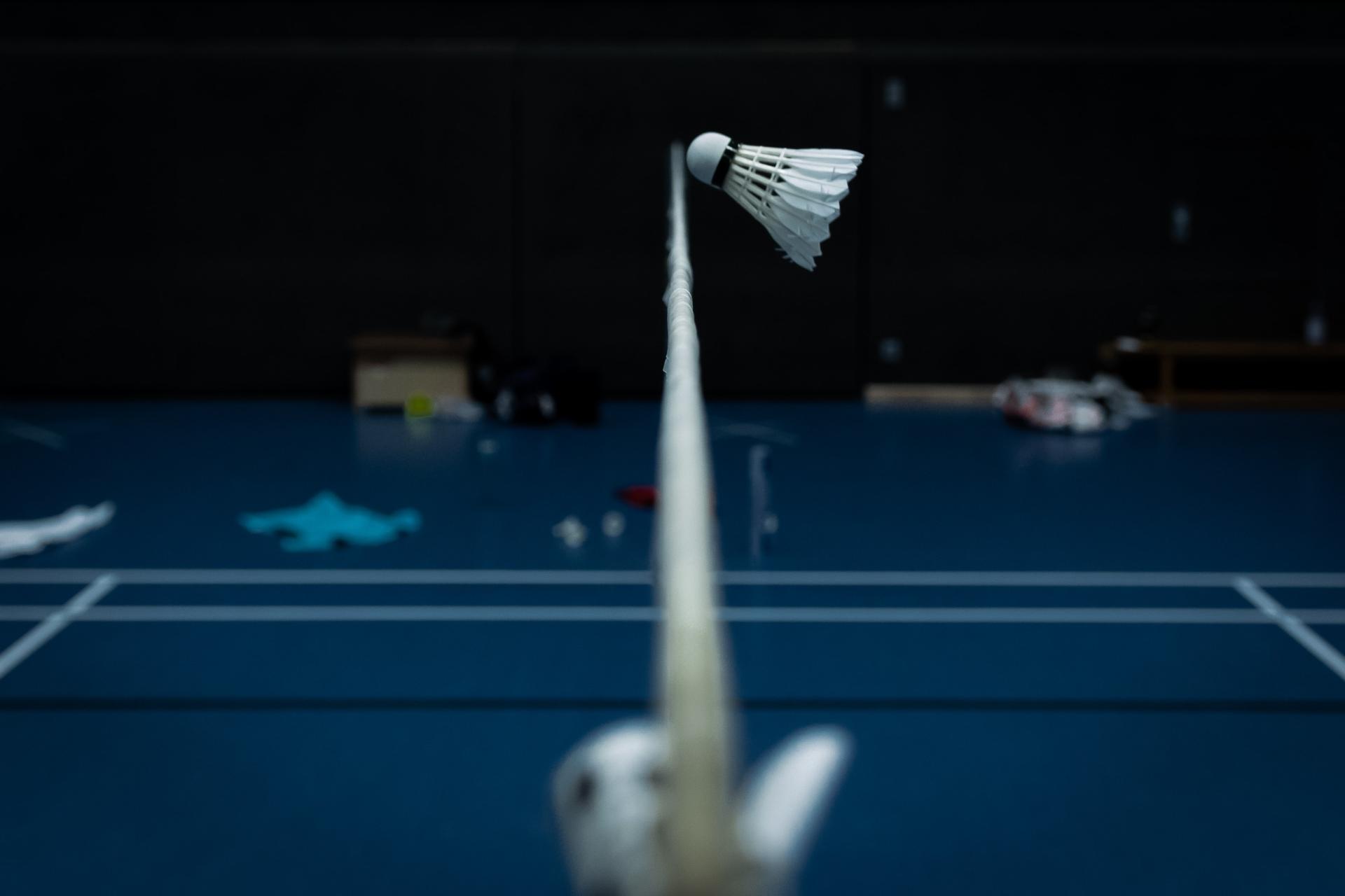 BADMINTONO CENTRAS