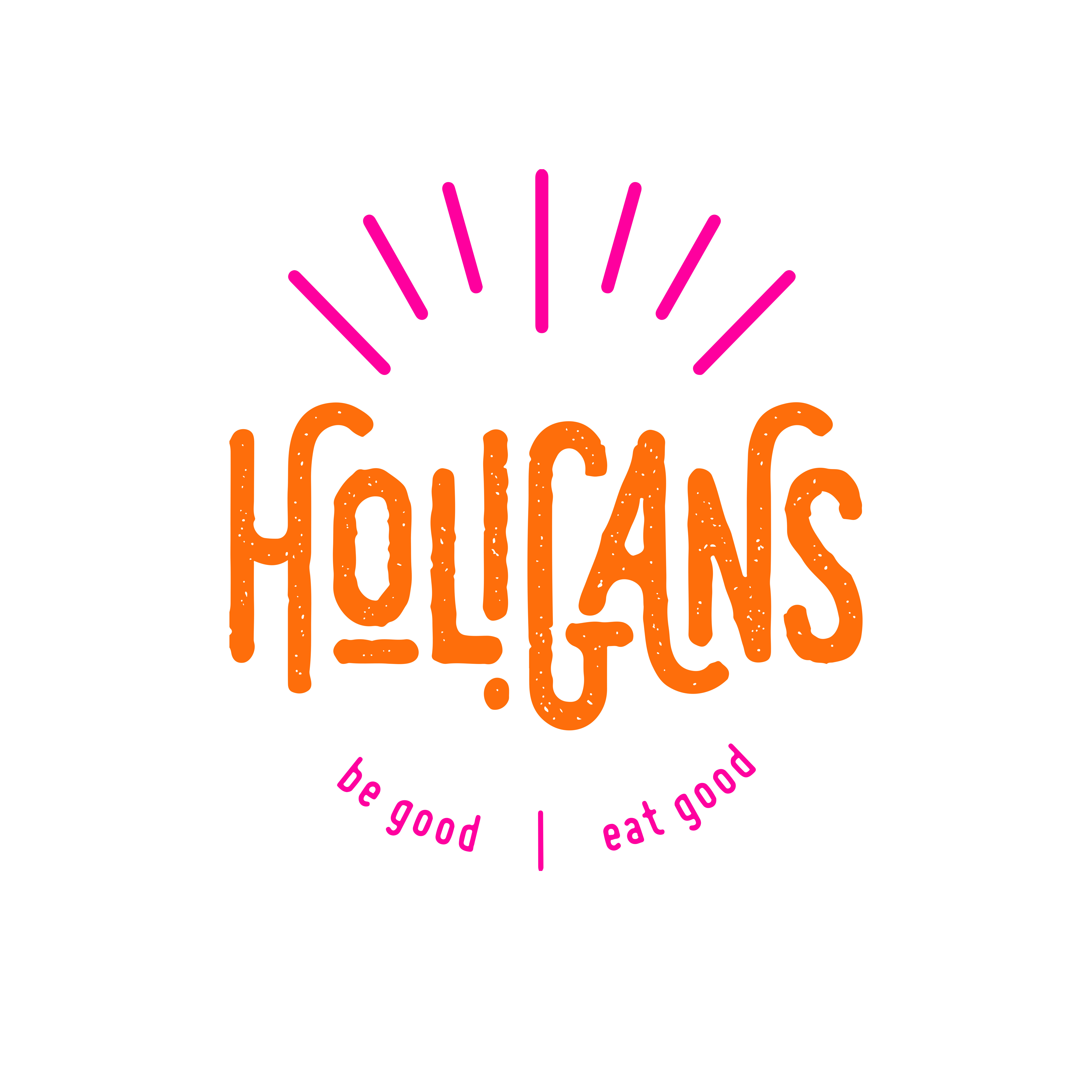 Holigans