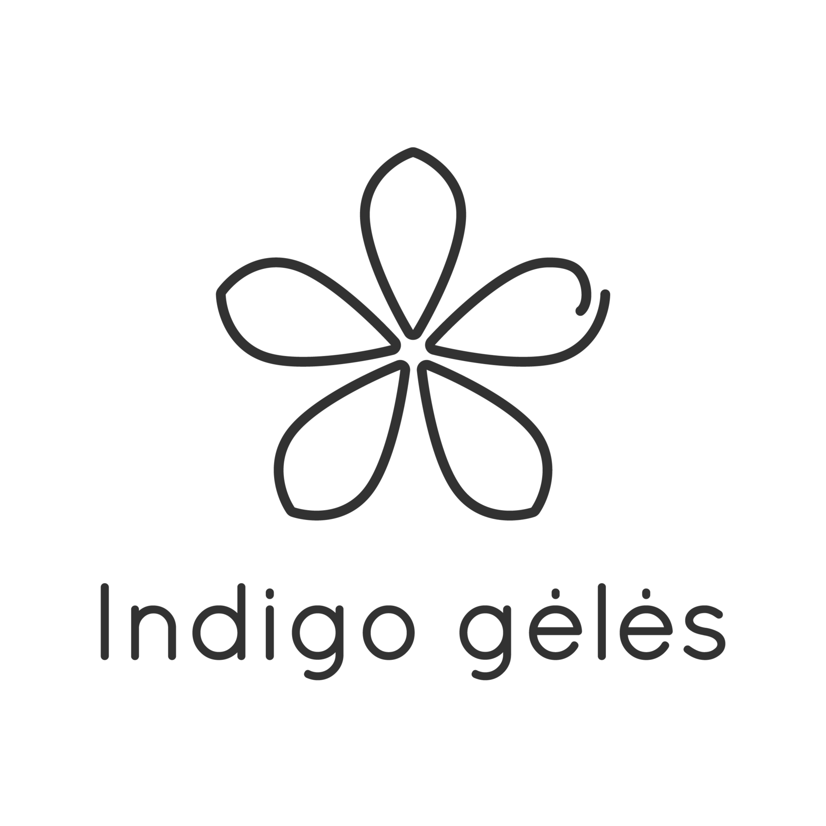 Indigo gėlės